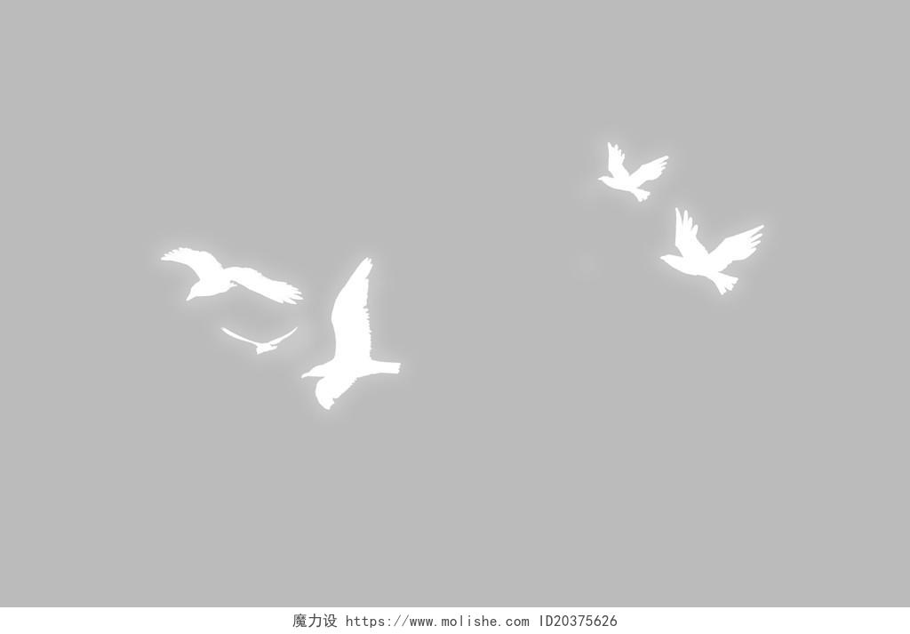 白色鸽子鸟类和平鸽png素材